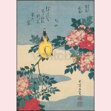 Japanese nightingale and spray of roses